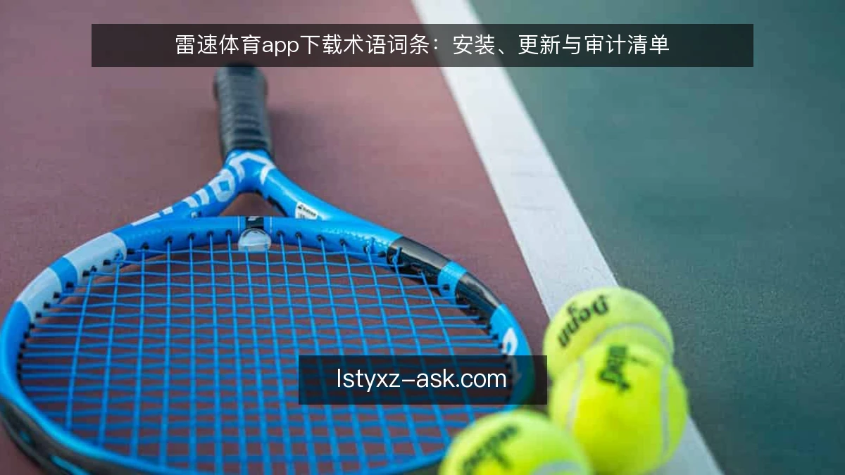 雷速体育app下载术语词条：安装、更新与审计清单