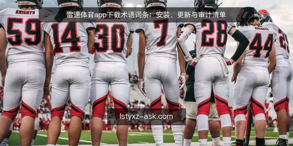 雷速体育app下载术语词条：安装、更新与审计清单 — 为何现在审计：术语与现状核对 配图